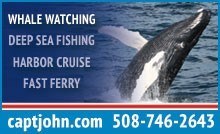 Captain John Boats Whale Watch Provincetown